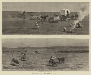 Ganado en el Lejano Oeste, II